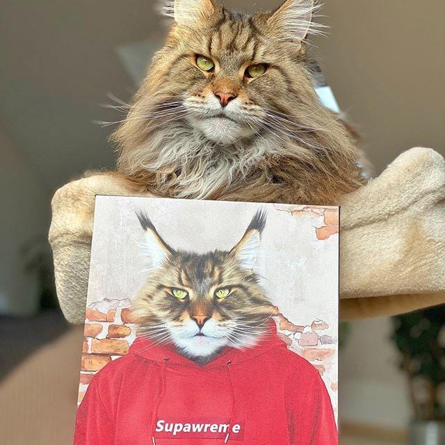 The Hypebeast - Custom Pet Canvas