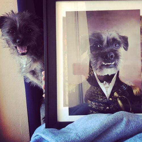 The General - Custom Pet Poster