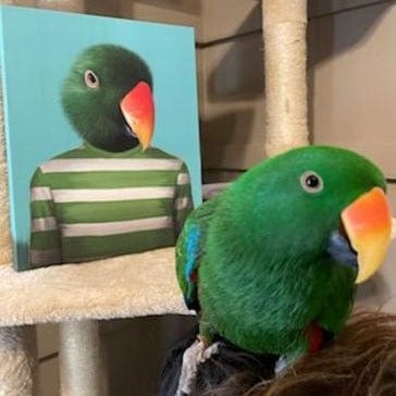 The Green Candy Cane - Custom Pet Canvas