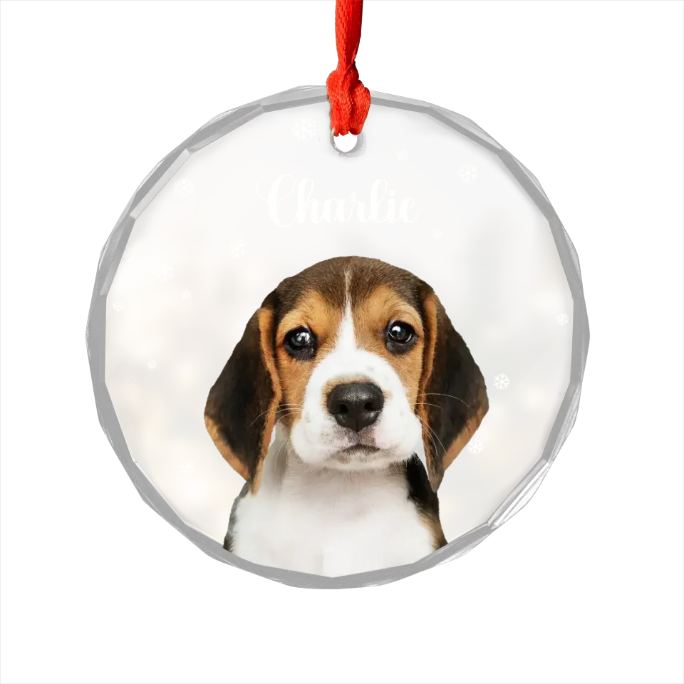 Personalized Glass Christmas Ornament Of Your Pet