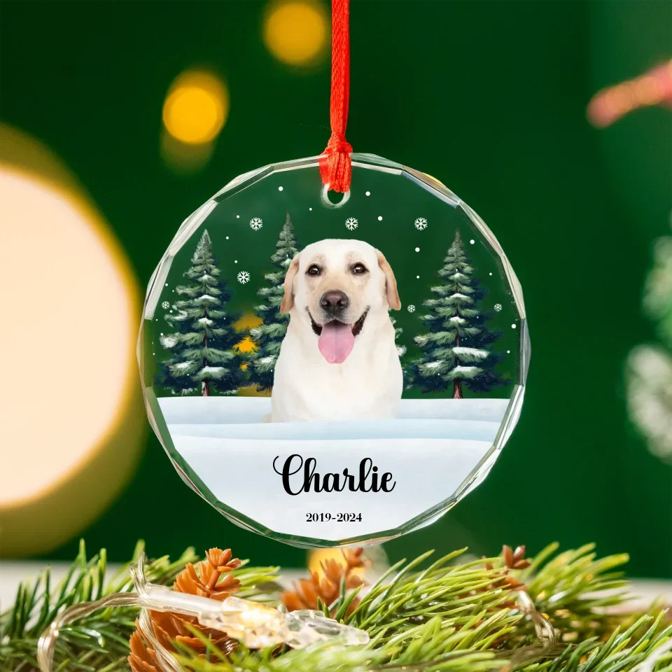 Personalized Snow Scene Ornament With Pet Photo