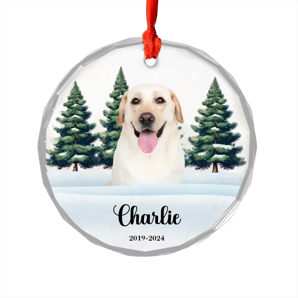 Personalized Snow Scene Ornament With Pet Photo