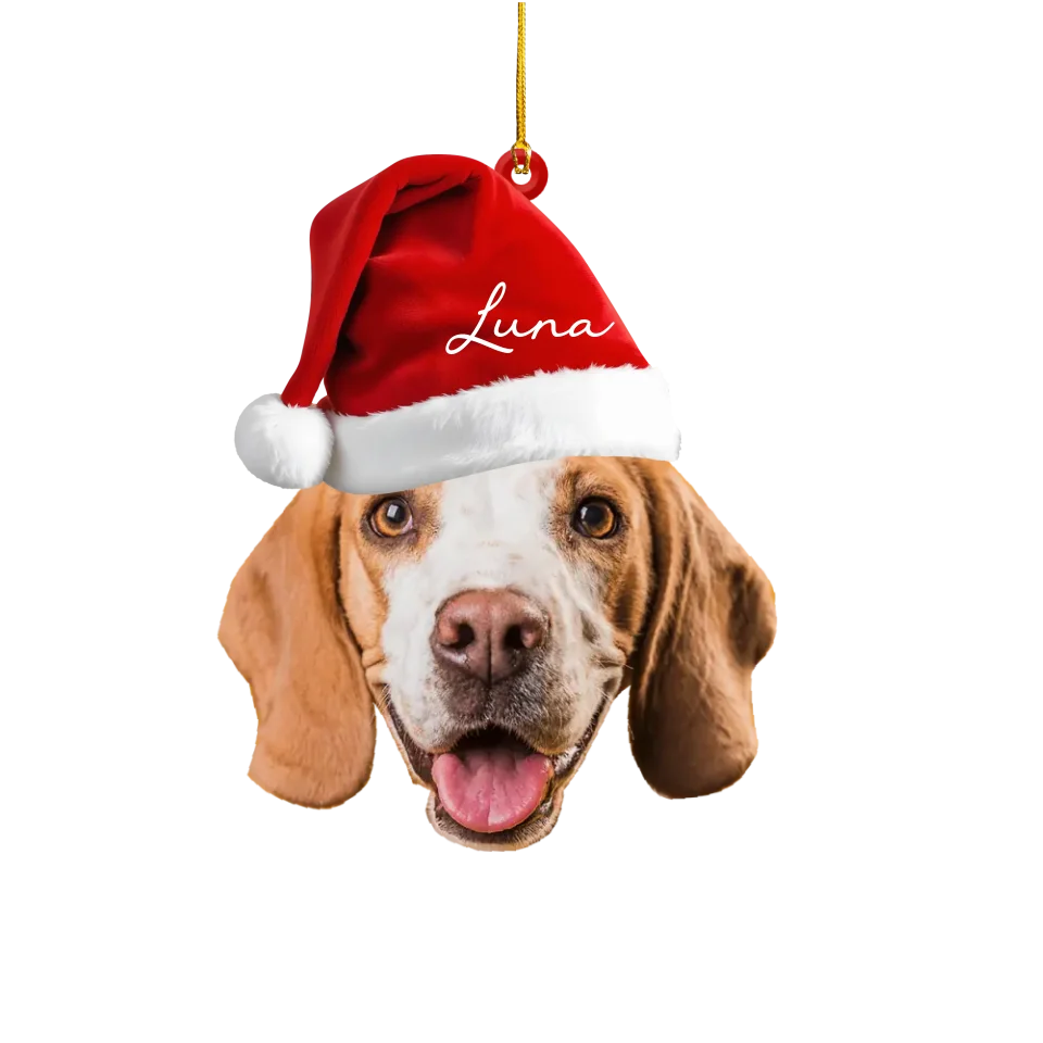 Custom Shape Pet in Santa Hat Ornament