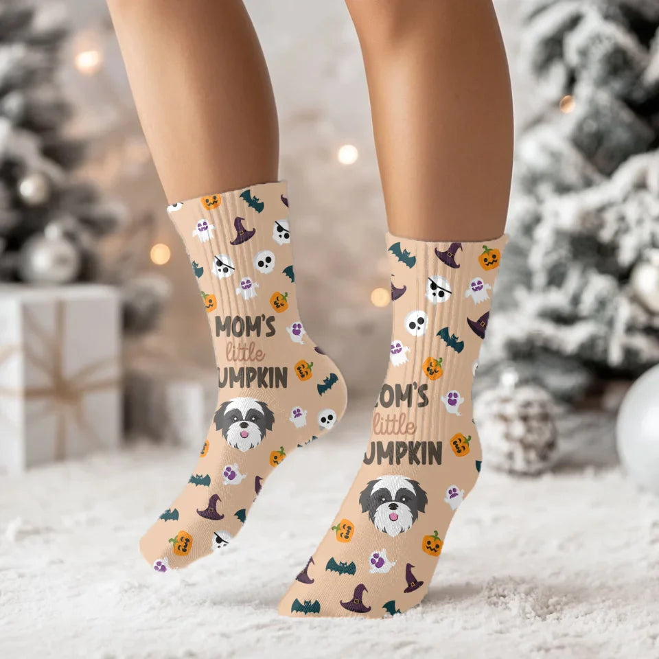 Little Pumpkin Socks with Pet Icon