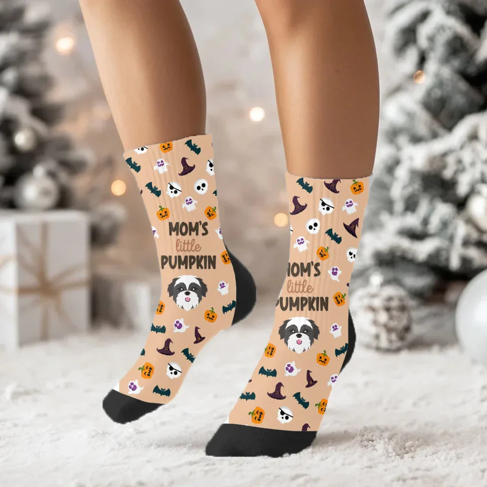 Little Pumpkin Socks with Pet Icon