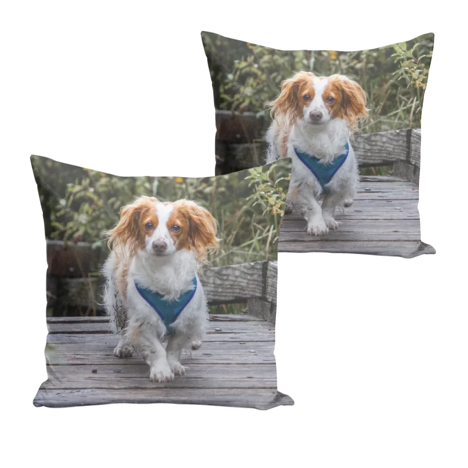 Front And Back Pillow Blank Mock Up
