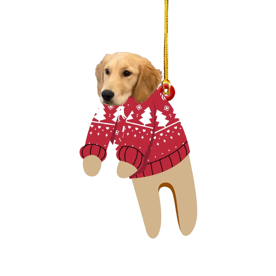 Custom Pet in Sweater Christmas Ornament