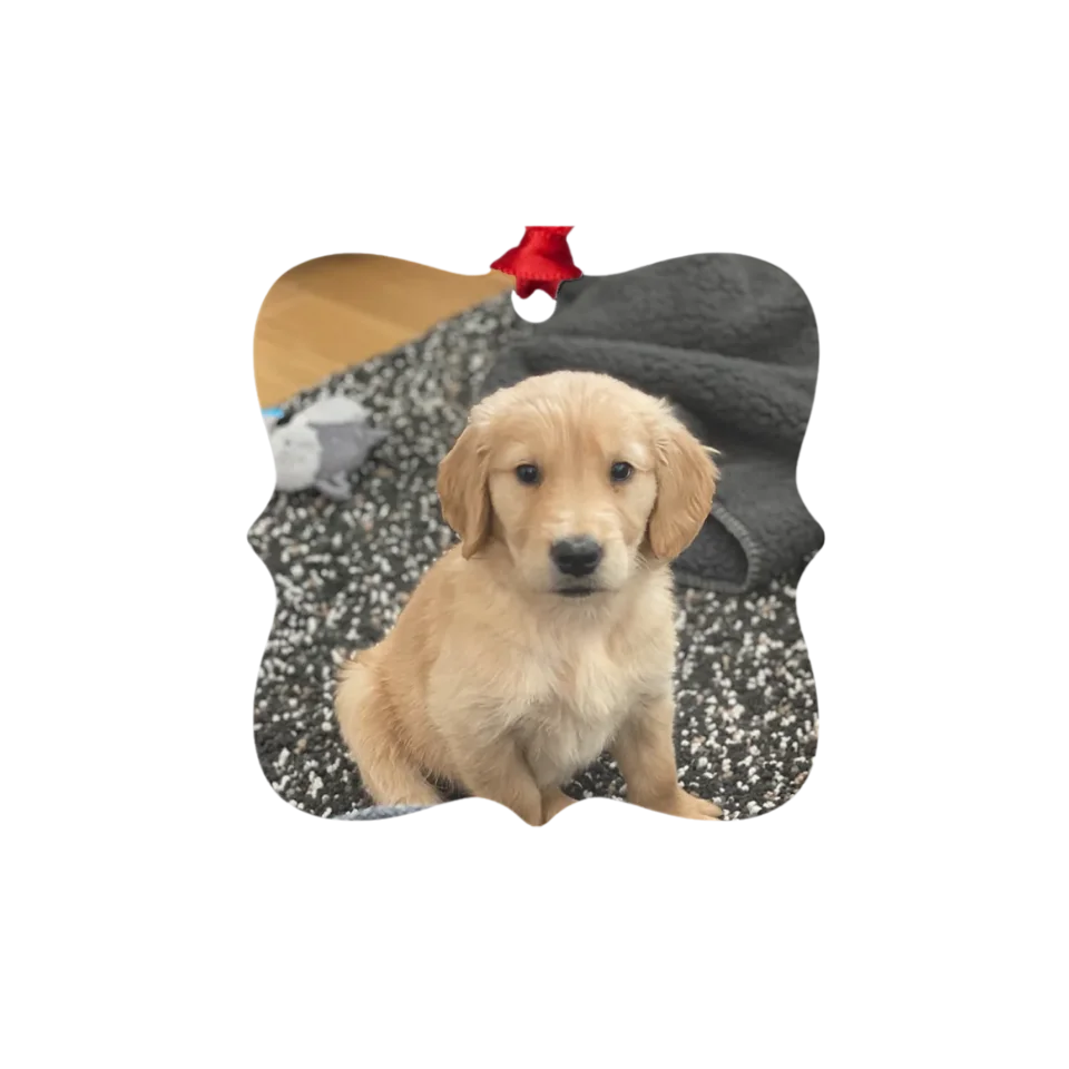 Custom Metal Photo Ornament