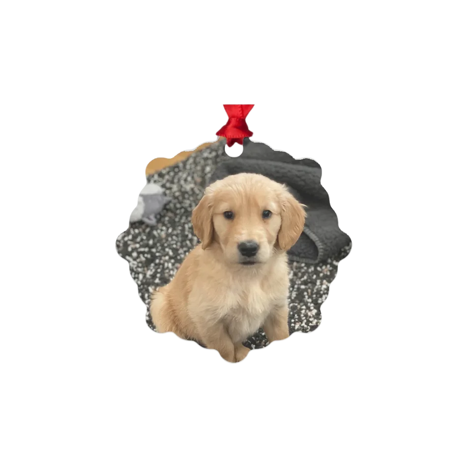 Custom Metal Photo Ornament