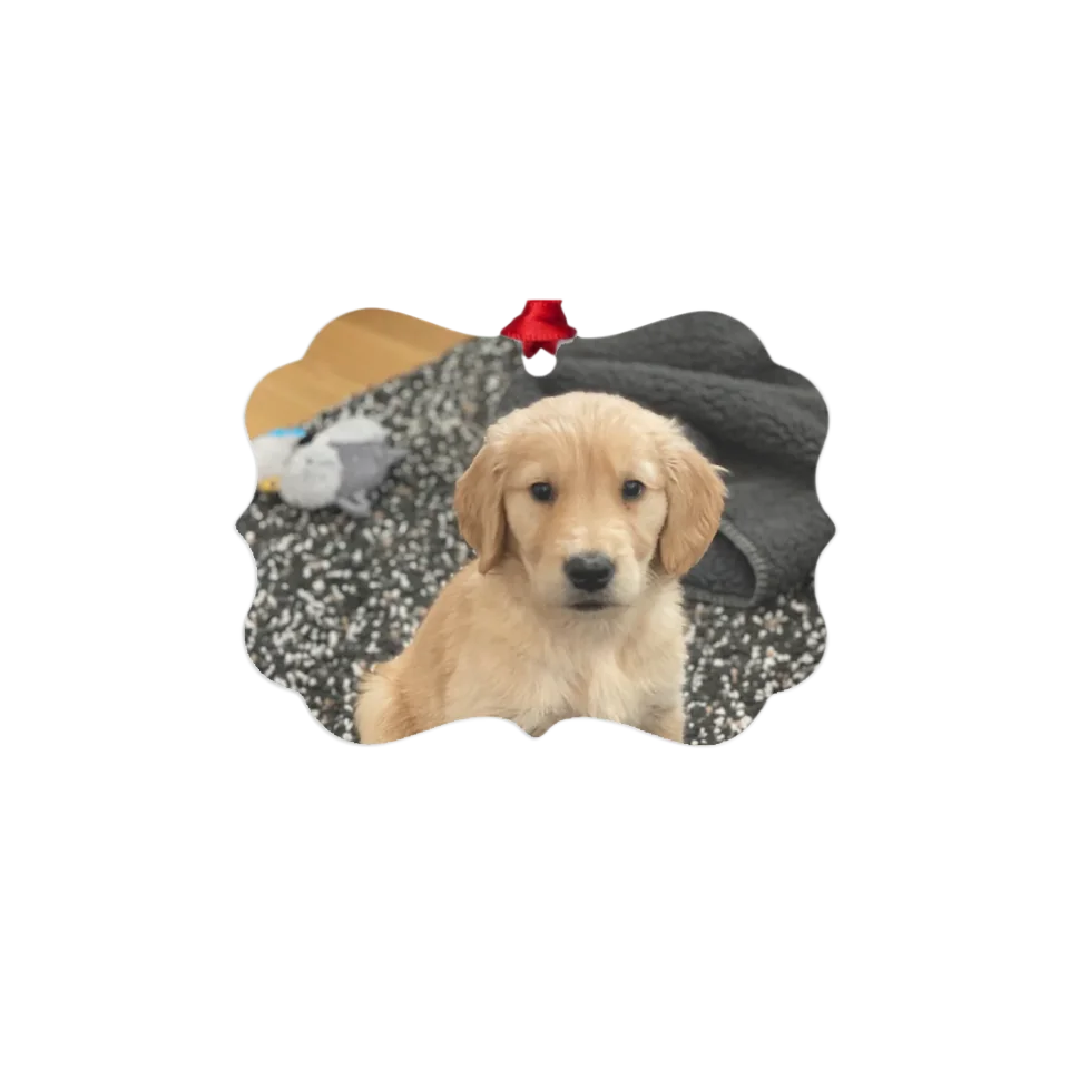 Custom Metal Photo Ornament