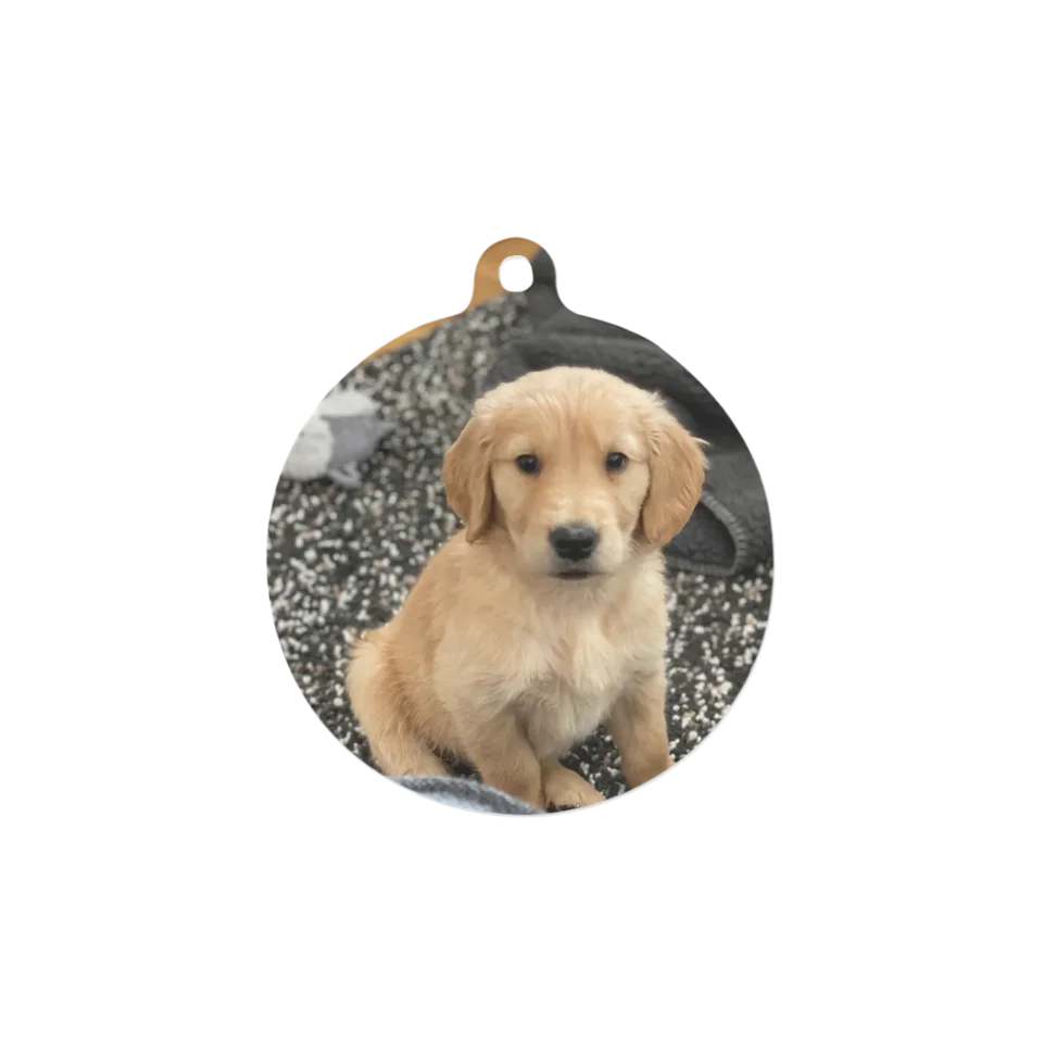 Custom Metal Photo Ornament