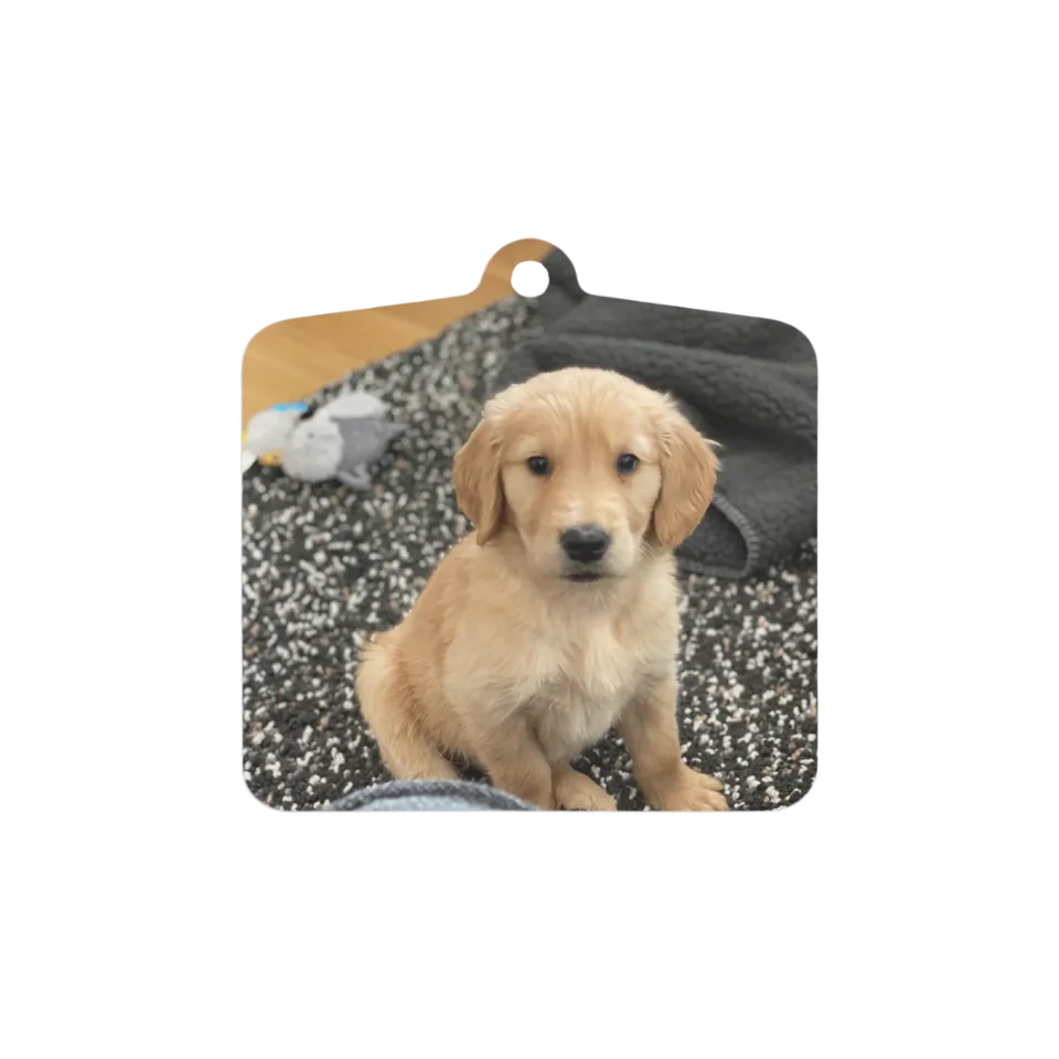 Custom Metal Photo Ornament