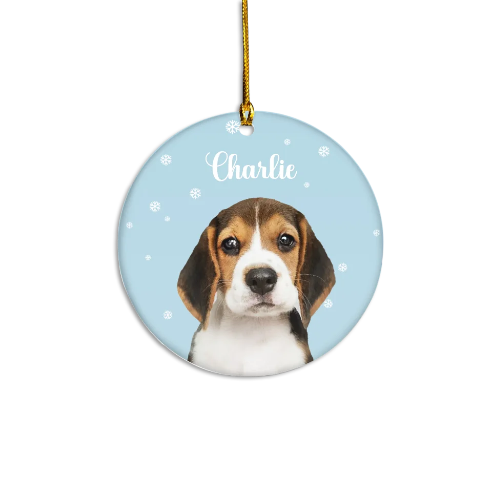 Custom Pet and Snowflakes Ornament