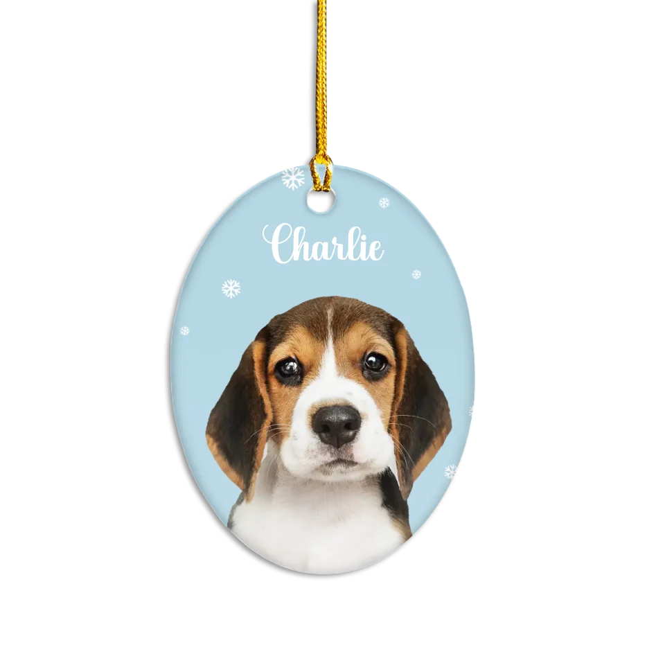 Custom Pet and Snowflakes Ornament