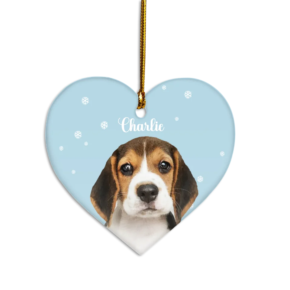 Custom Pet and Snowflakes Ornament