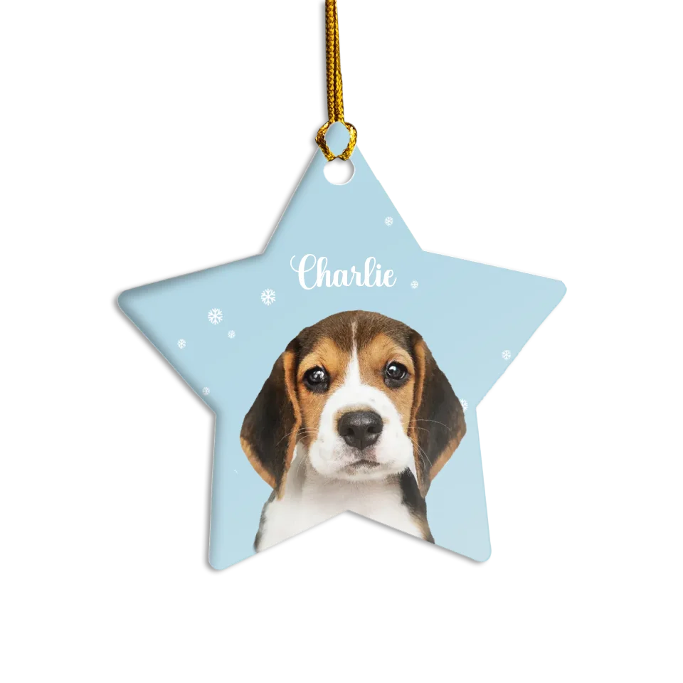 Custom Pet and Snowflakes Ornament