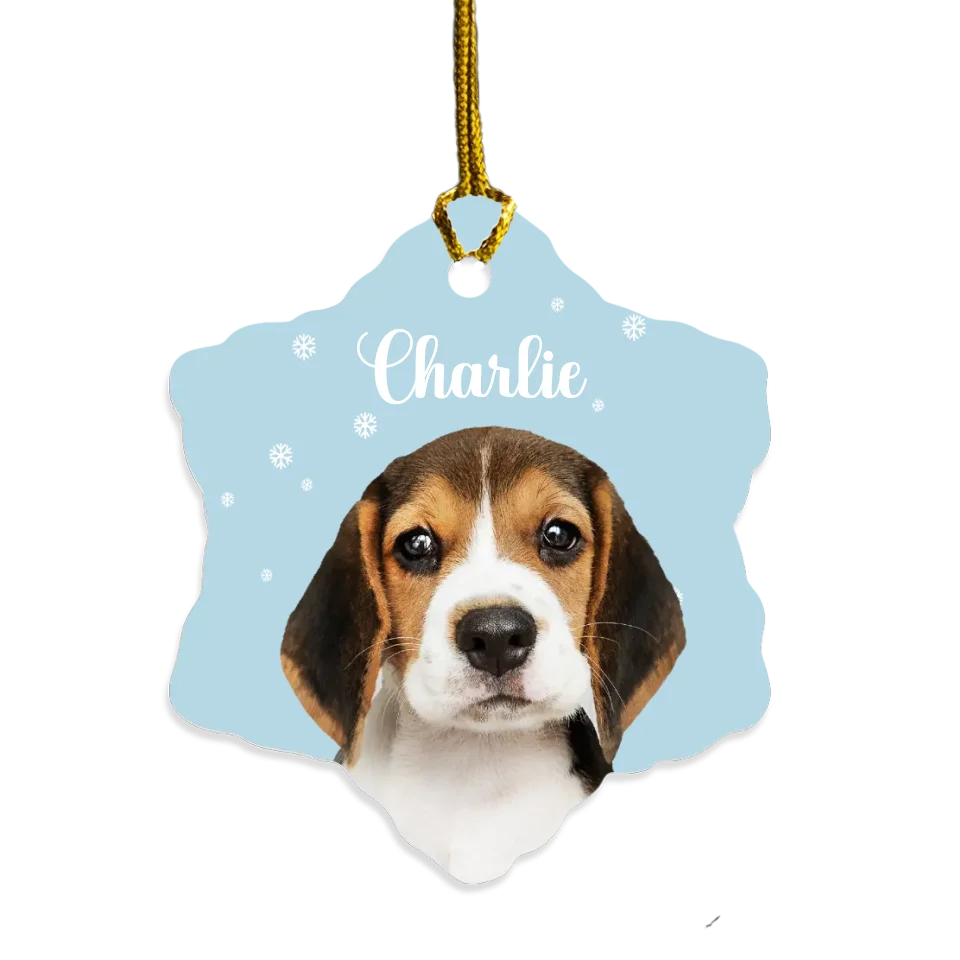 Custom Pet and Snowflakes Ornament