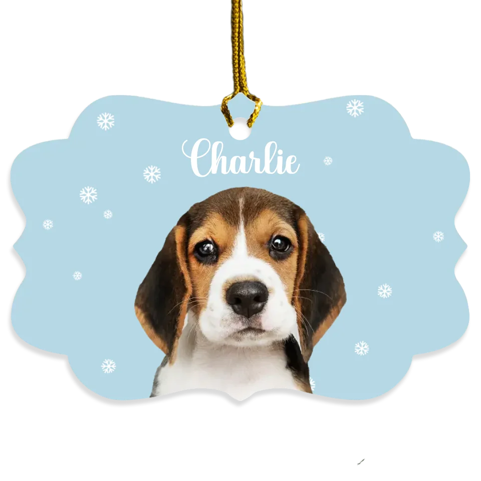 Custom Pet and Snowflakes Ornament