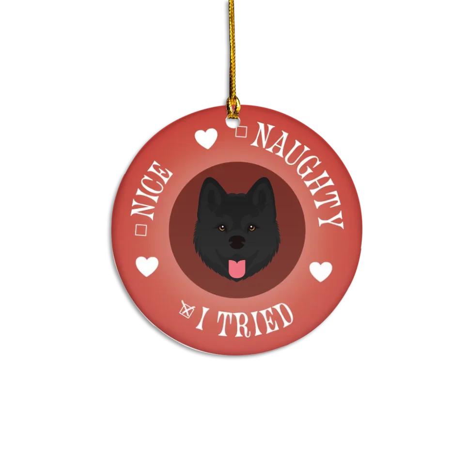 Personalized Naughty / Nice / I Tried Pet Breed Ornament