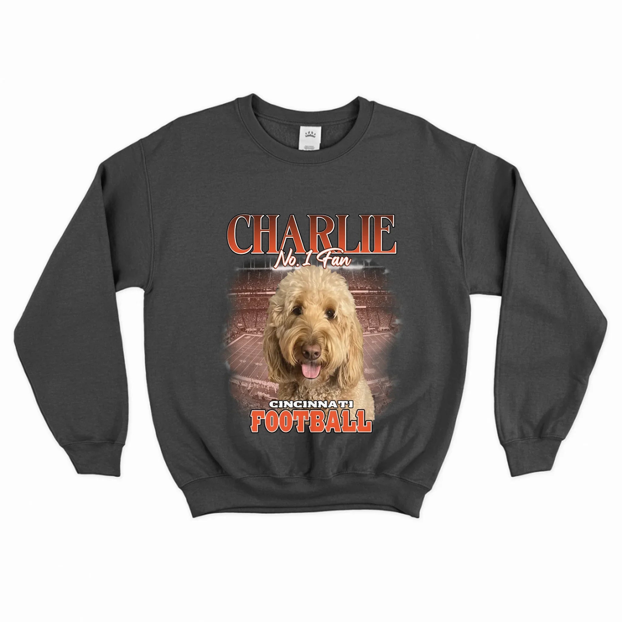 Personalized American Football Pet Photo Sweatshirt