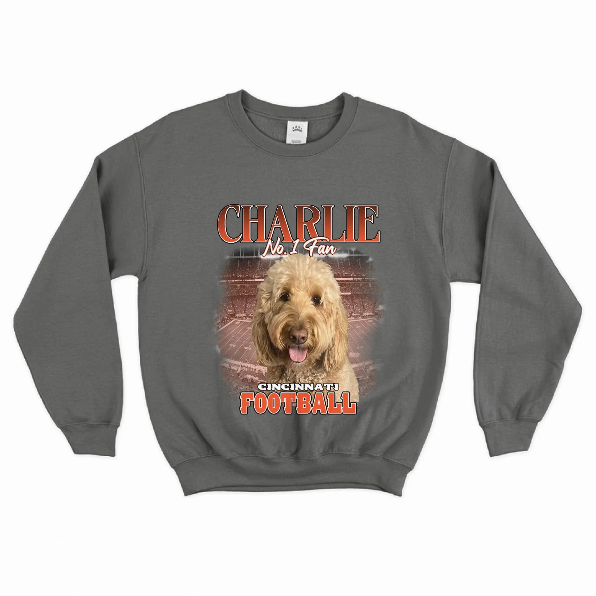 Personalized American Football Pet Photo Sweatshirt