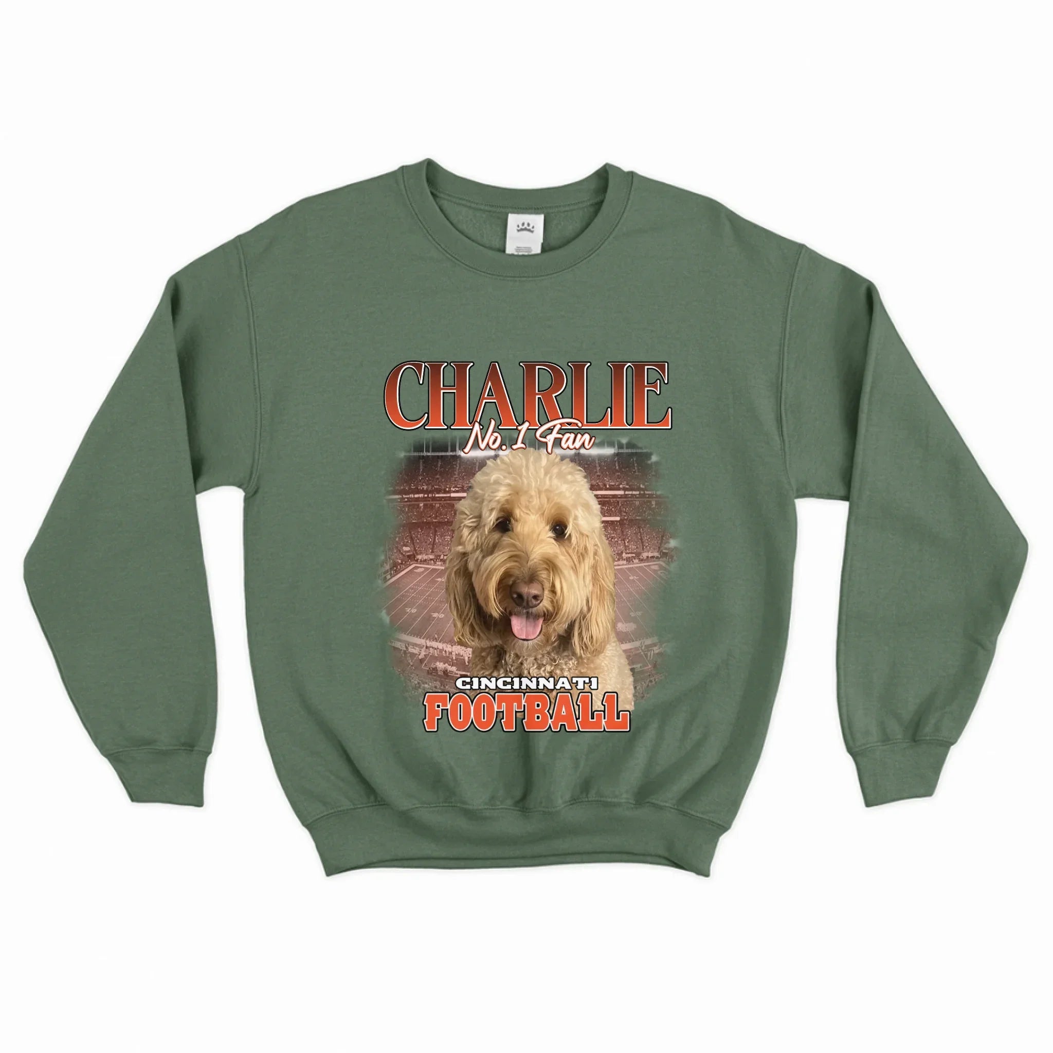 Personalized American Football Pet Photo Sweatshirt