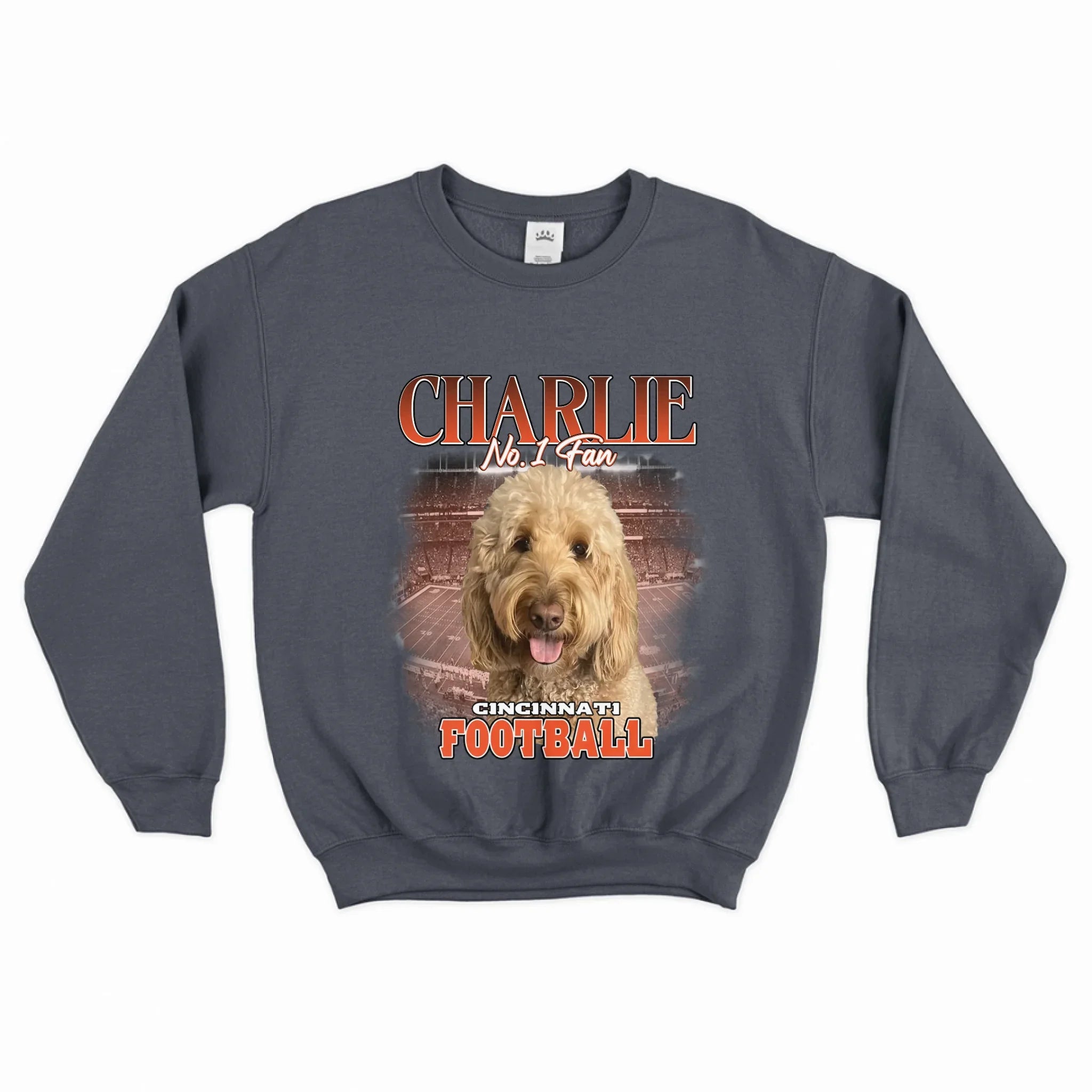 Personalized American Football Pet Photo Sweatshirt