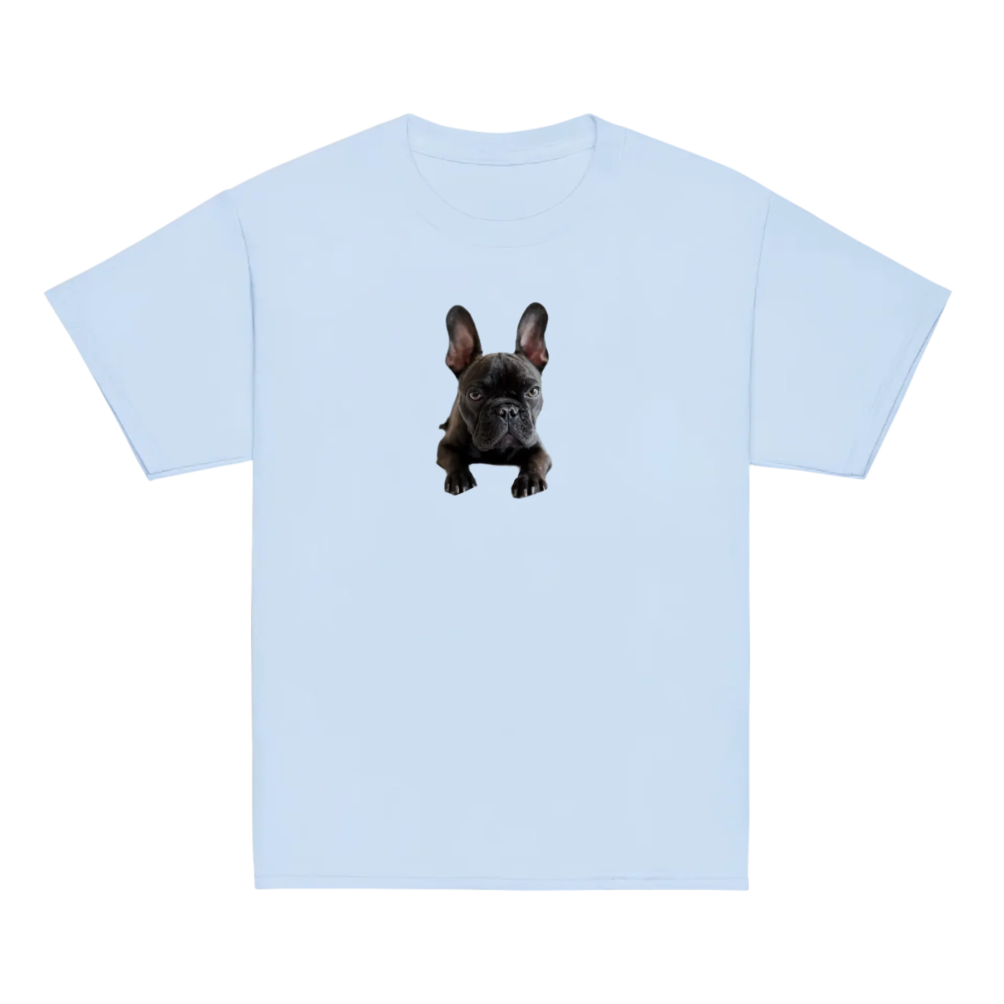 Basic Mock Up Light Blue