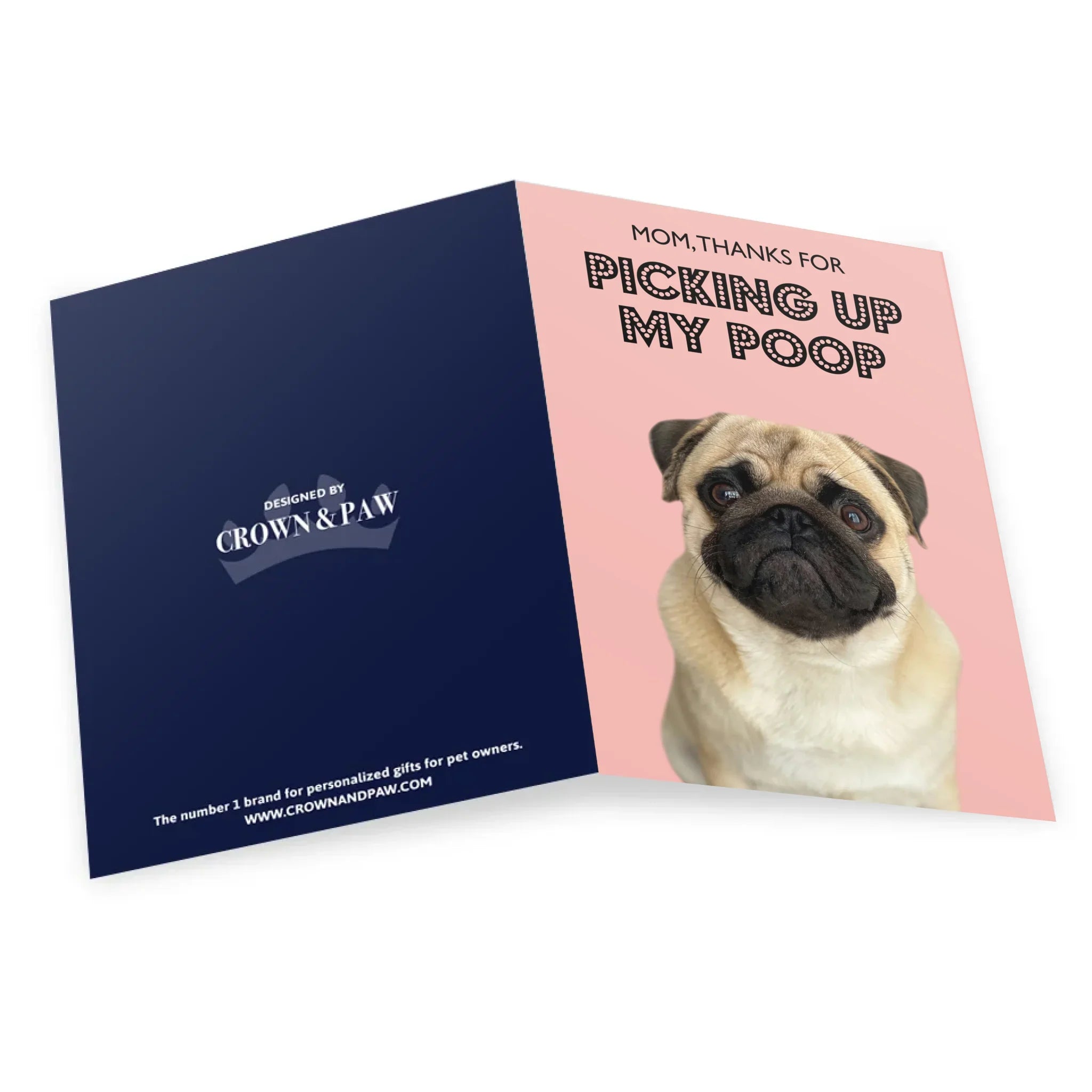 Thanks for Picking Up My Poop Dog Mom Greetings Card