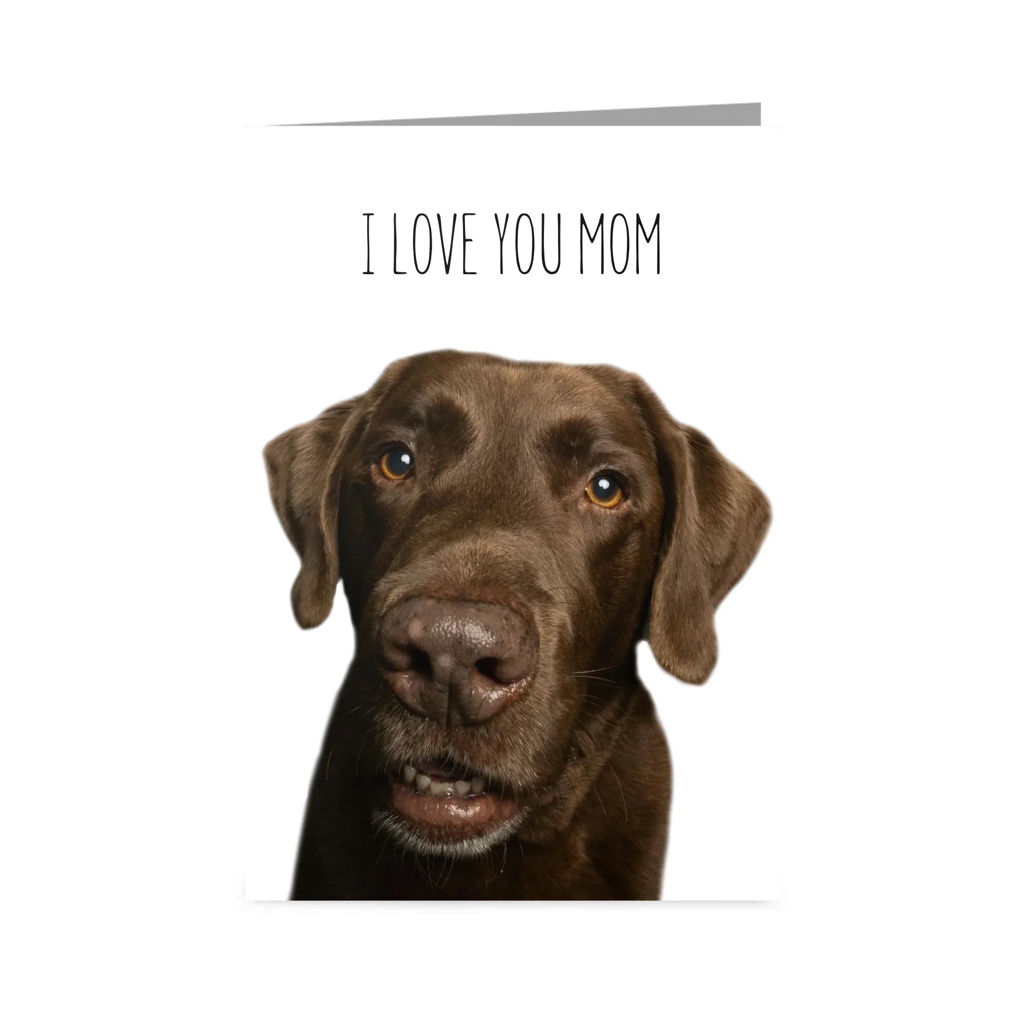 Custom Text and Pet Photo Greetings Card