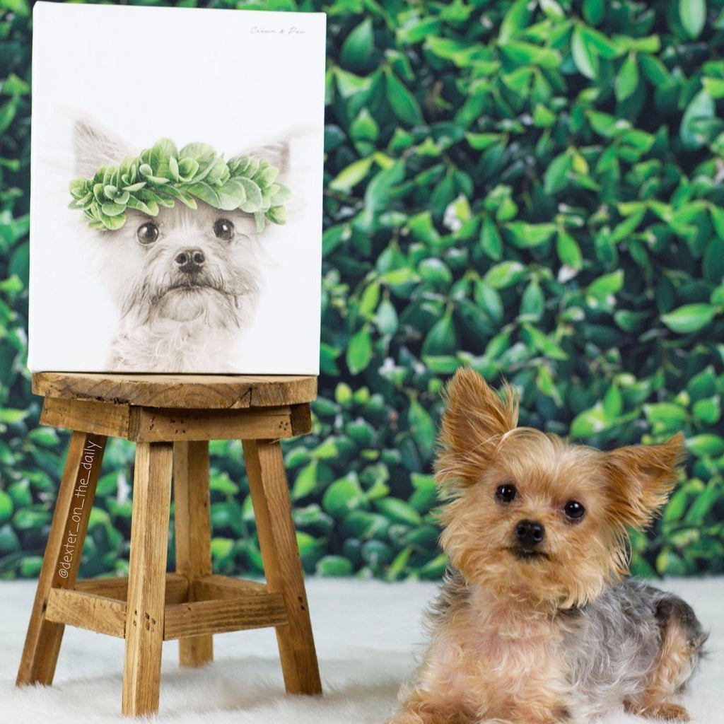 Roman Crown Pet Portrait - Custom Canvas