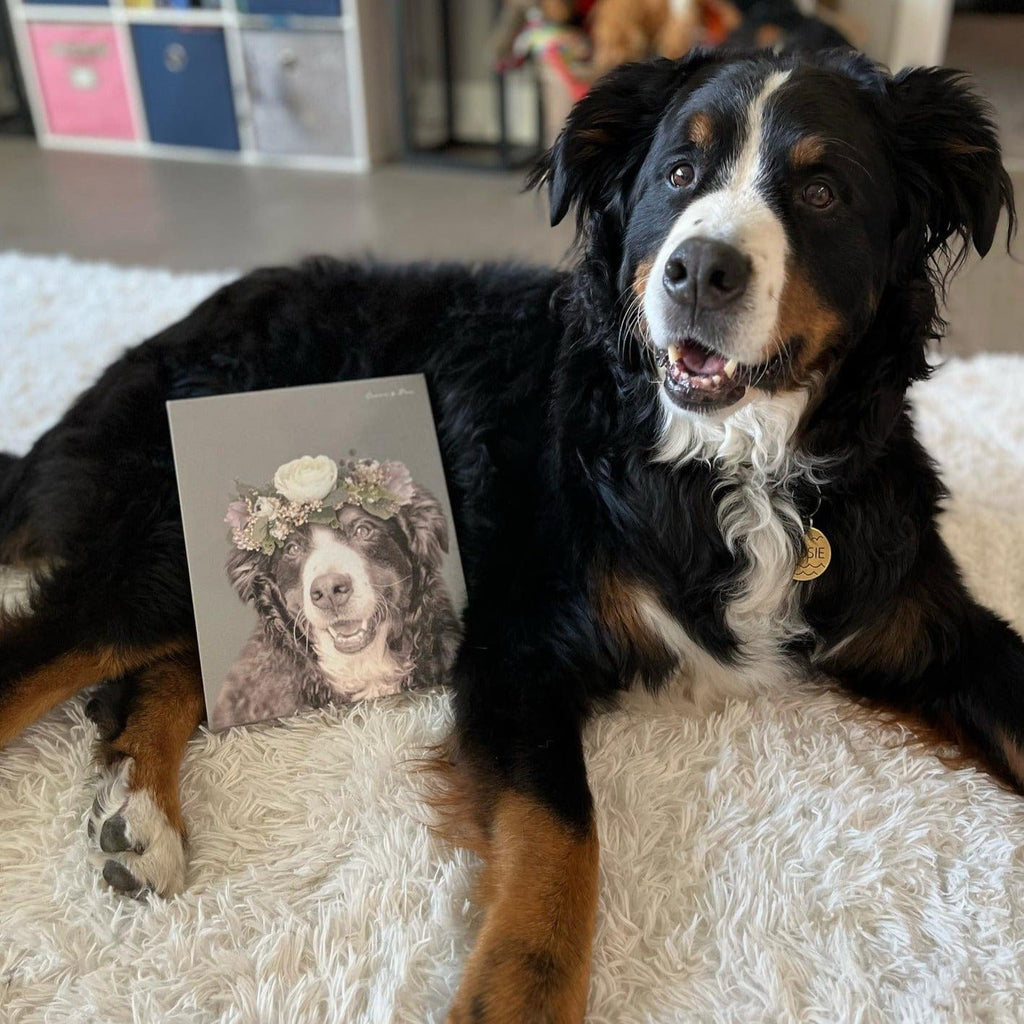 Full Bloom Pet Portrait - Custom Canvas