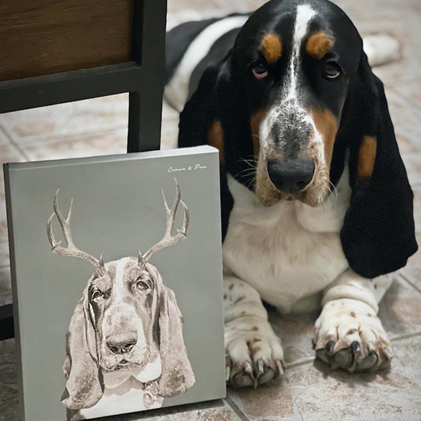 Elk Antlers Pet Portrait - Custom Canvas