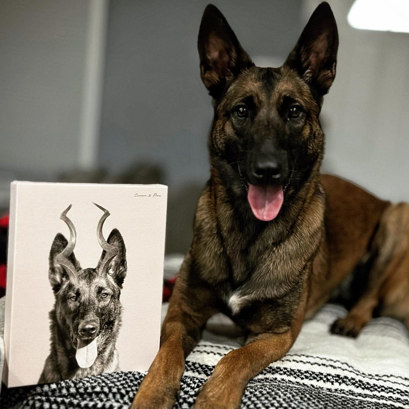 Pet With Antlers - Custom Canvas
