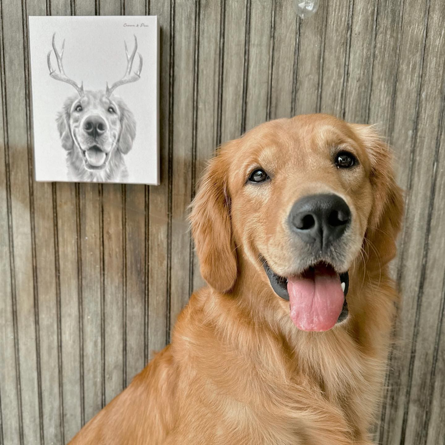 Elk Antlers Pet Portrait - Custom Canvas