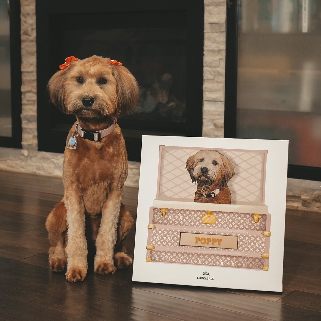 Classic Luxury Trunk Pet Portrait