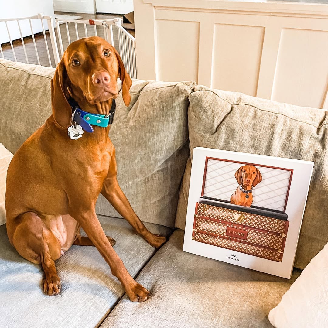 Classic Luxury Trunk Pet Portrait