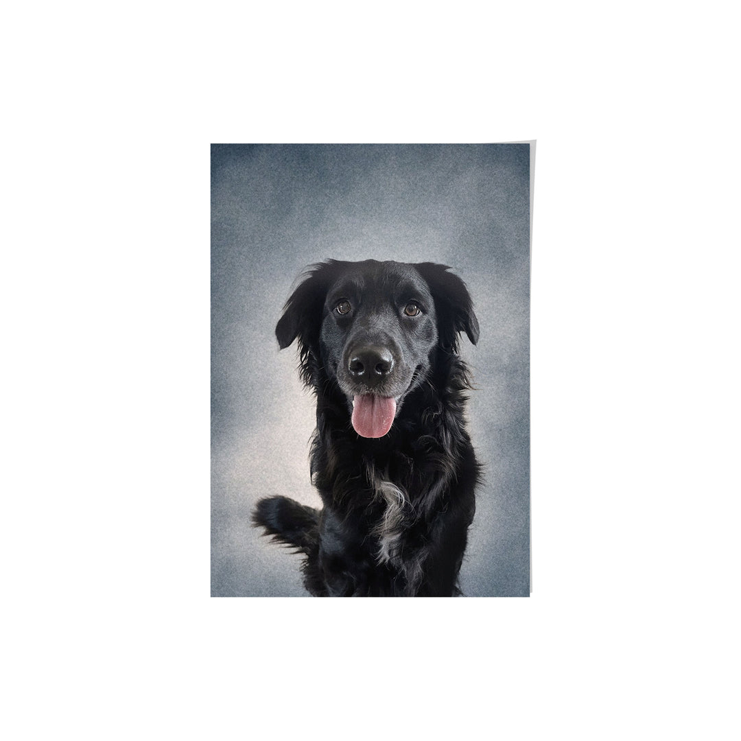 College Yearbook Style Pet Portrait