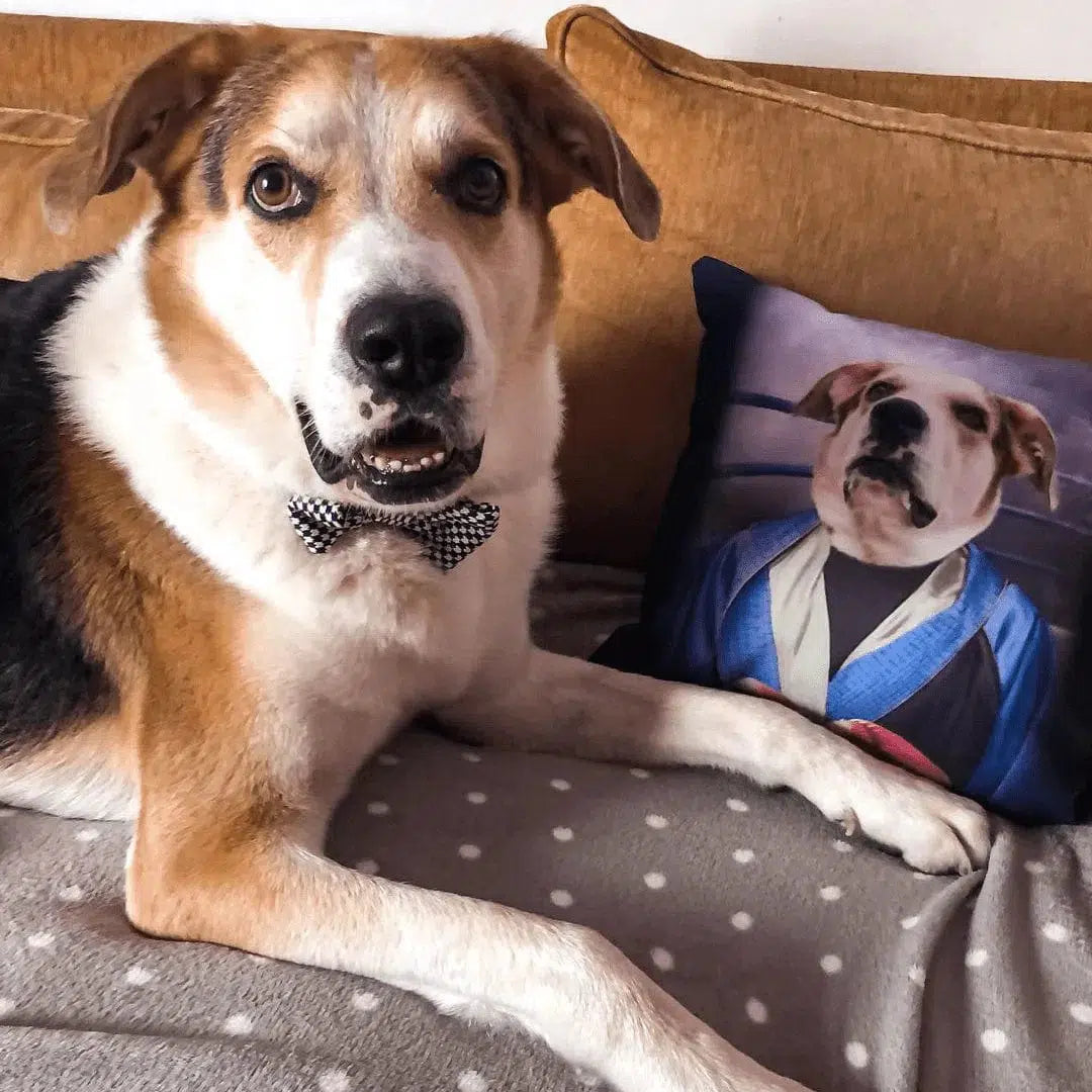 The Boxer - Custom Throw Pillow