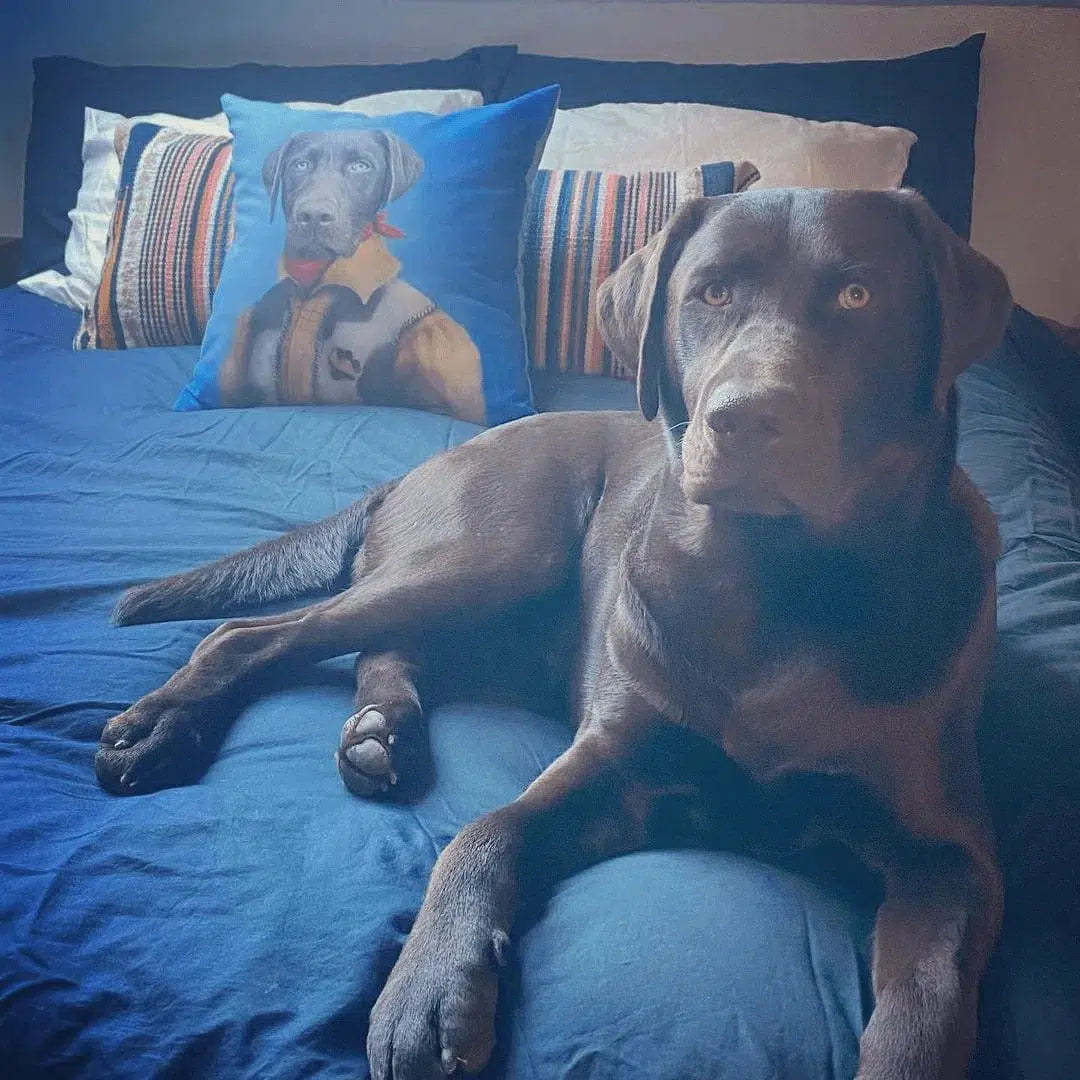 The Cowboy - Custom Throw Pillow