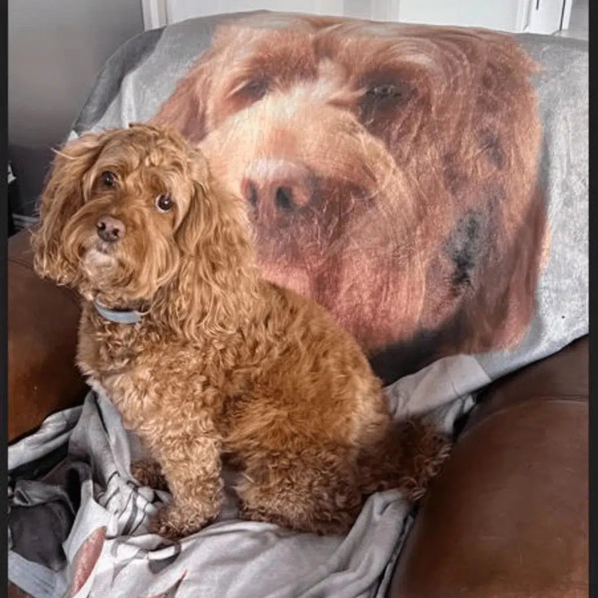 The Ice Hockey Player - Custom Pet Blanket