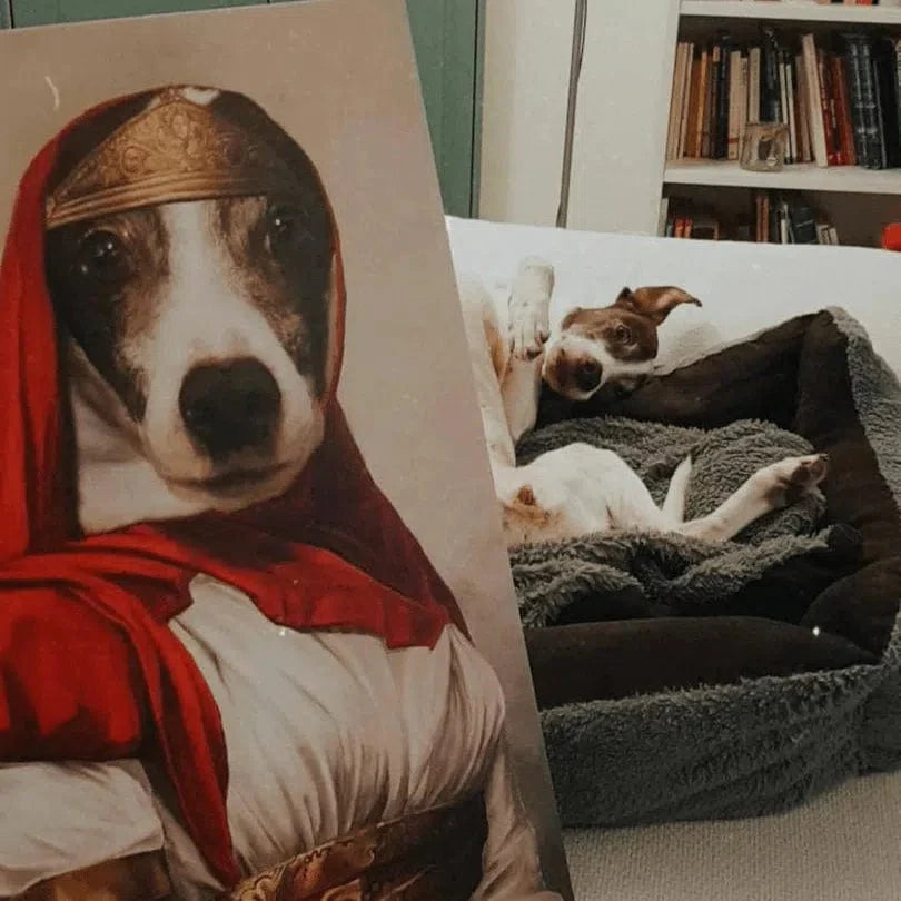 The Persian Princess - Custom Pet Canvas