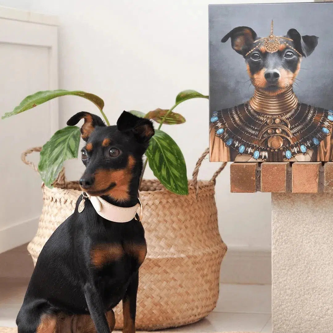 The Nubian Queen - Custom Pet Canvas