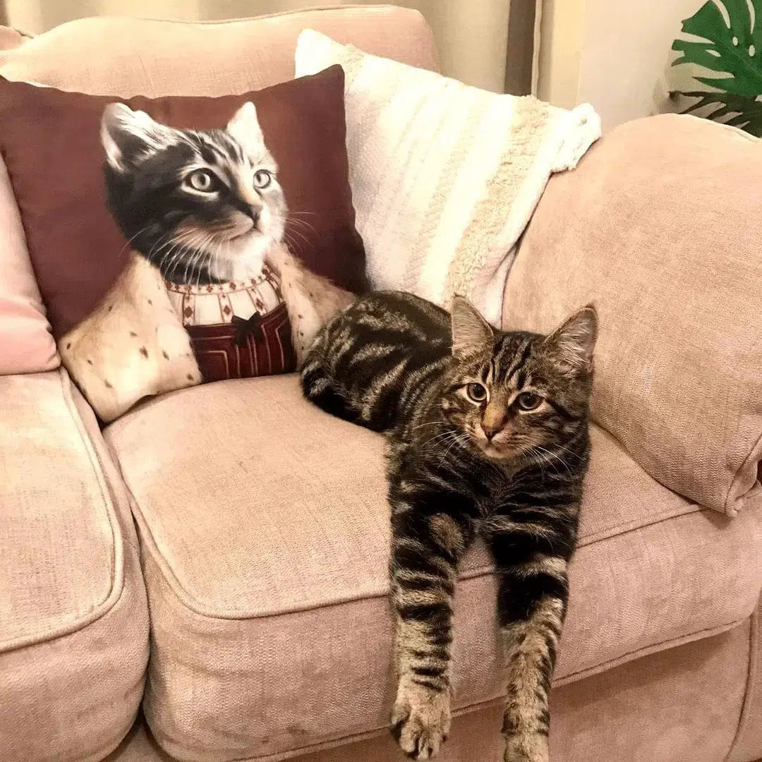 The Young King - Custom Throw Pillow