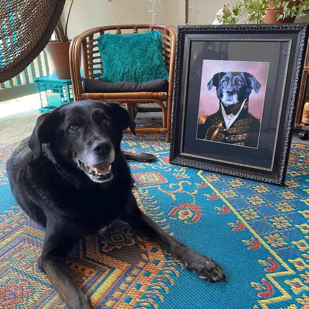 The General - Custom Pet Poster