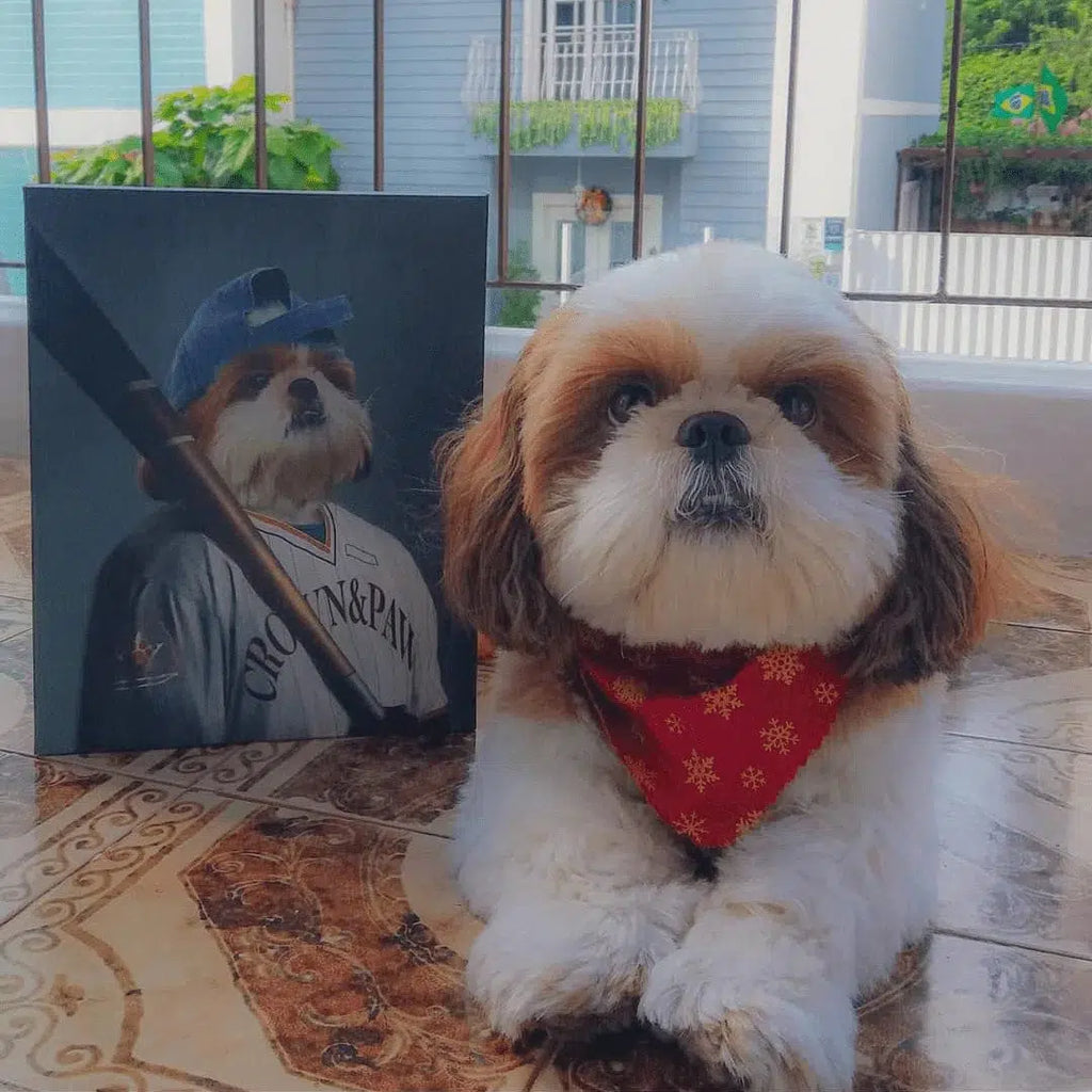 The Baseball Player - Custom Pet Canvas
