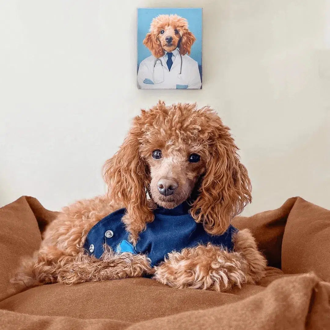 The Doctor - Custom Pet Canvas