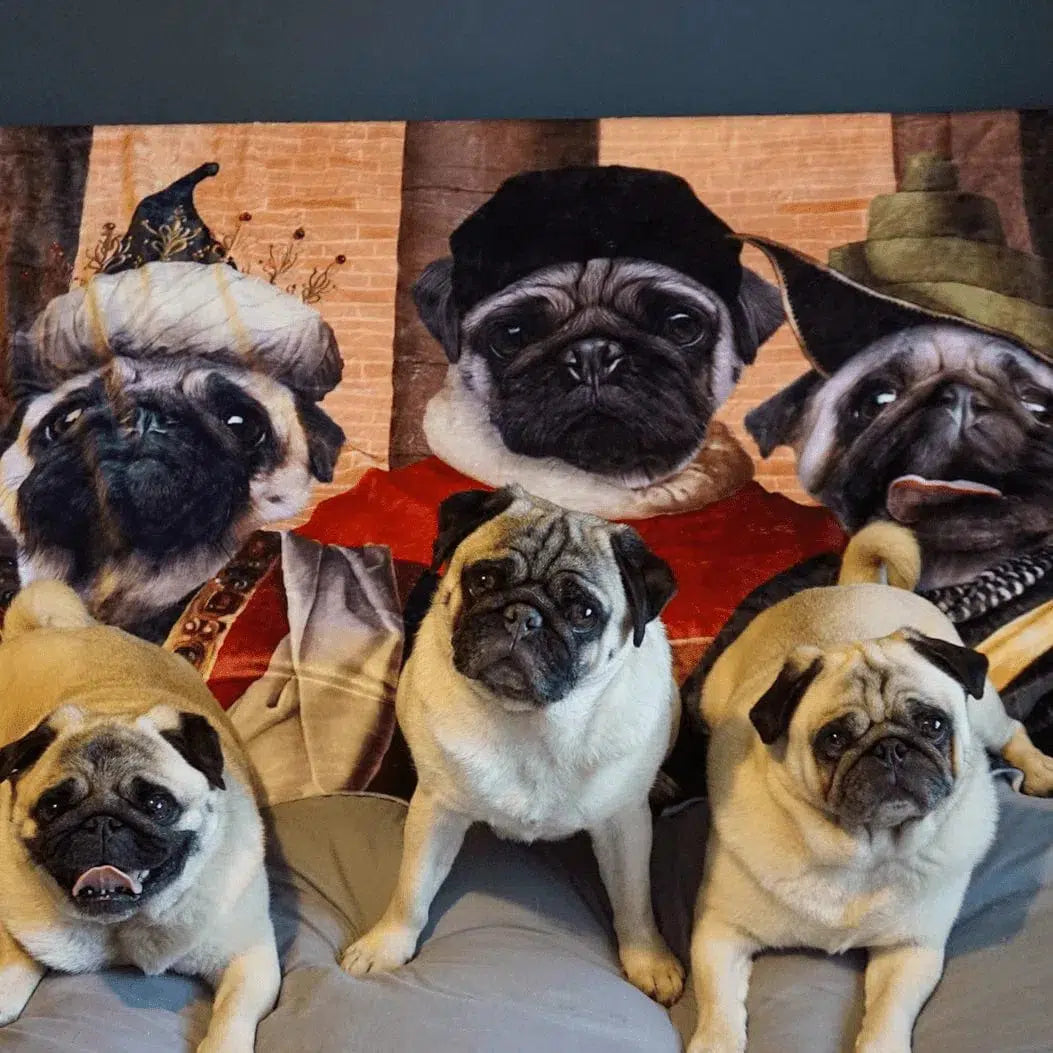 The Merchants - Custom Pet Blanket