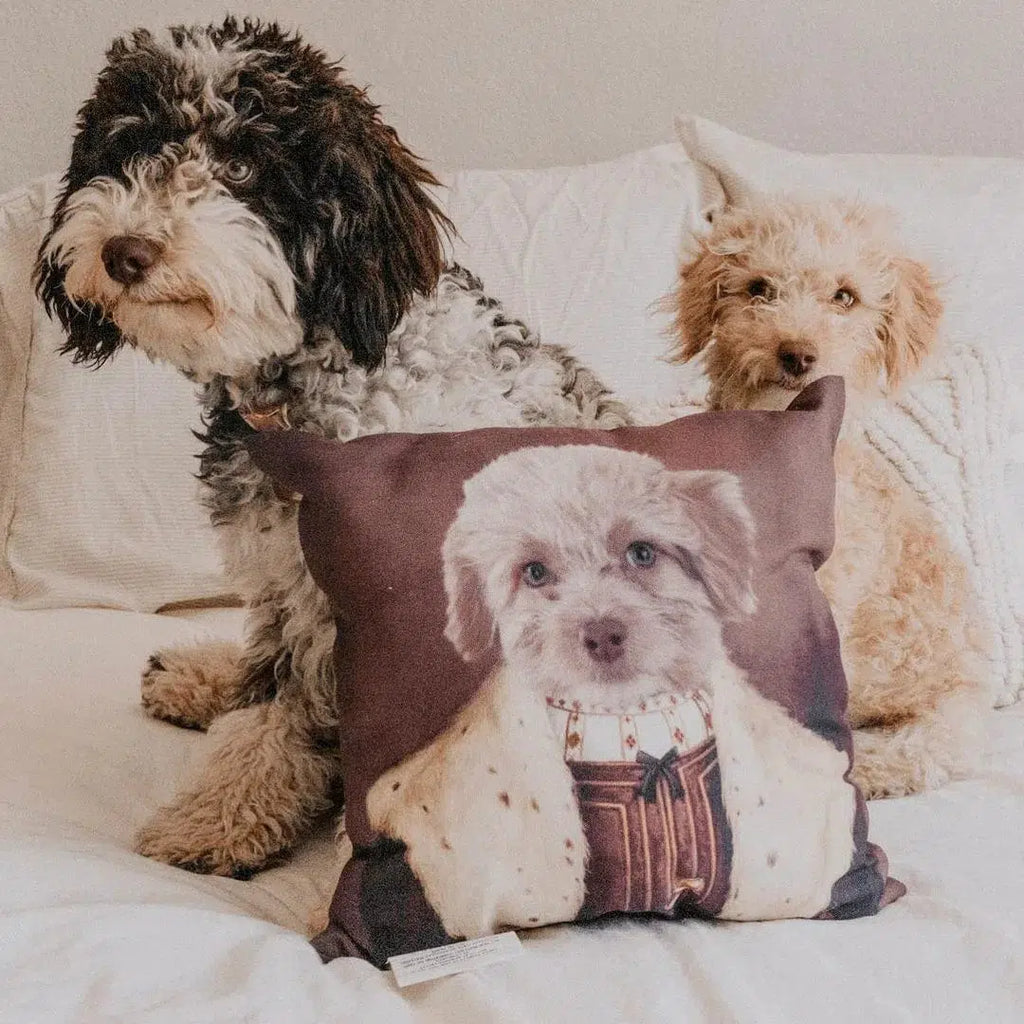 The Young King - Custom Throw Pillow
