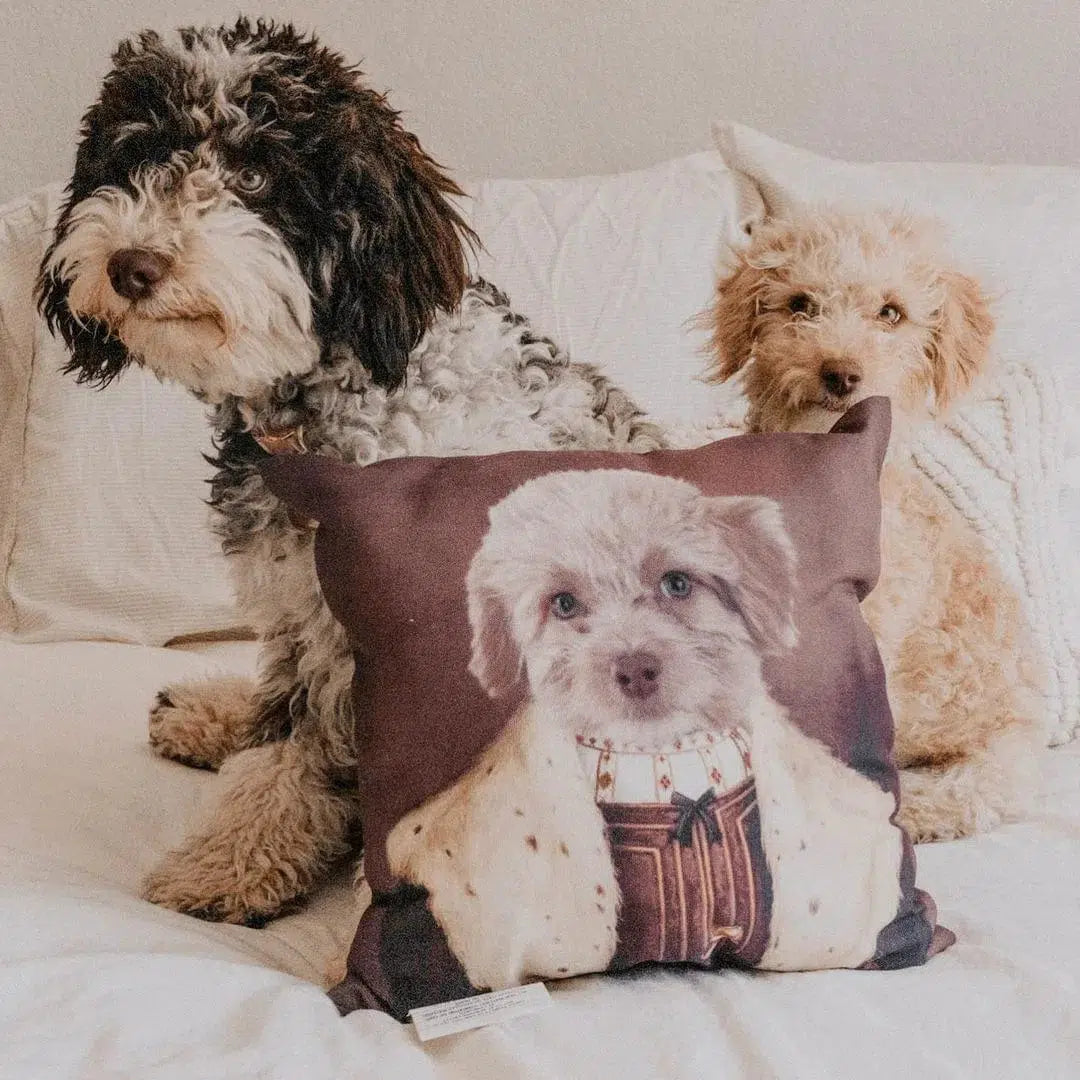 The Young King - Custom Throw Pillow